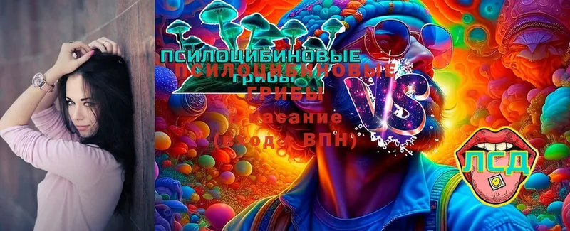 Псилоцибиновые грибы Magic Shrooms  Бахчисарай 